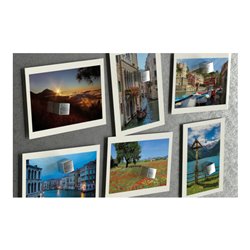 fischer Magnetkralle (4) NTJH