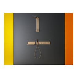 hansgrohe Brausenmodul ShowerComposition 250x250mm, Wd, 1j, m SB, brush. r gol