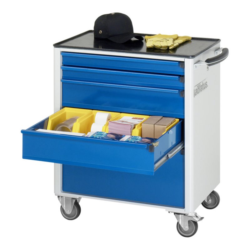 Rau Werkzeugwagen mit 5 Schubladen Metall BxTxH 700x500x860mm