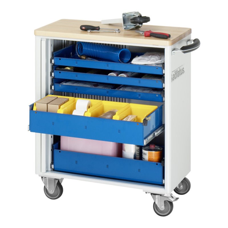 Rau Werkzeugwagen Buche-Massiv-Platte BxTxH 725x400x860mm