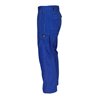 Mascot Hose Pittsburgh kornblau