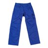 Mascot Hose Pittsburgh kornblau