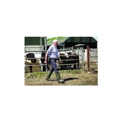 Dunlop Sicherheitsstiefel EN20345 S5 CI SRC Gr.43 (9) Purofort Thermo+ dunkelgrün