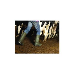 Dunlop Sicherheitsstiefel EN20345 S5 CI SRC Gr.43 (9) Purofort Thermo+ dunkelgrün