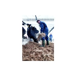 Dunlop Sicherheitsstiefel EN20345 S5 CI SRC Gr.43 (9) Purofort Thermo+ dunkelgrün