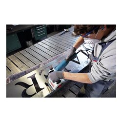 Bosch Satinierer GSI 14 CE