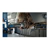 VIGOR Druck- und Zug-Hydraulikzylinder 32 t V2874 Anzahl Werkzeuge: 8